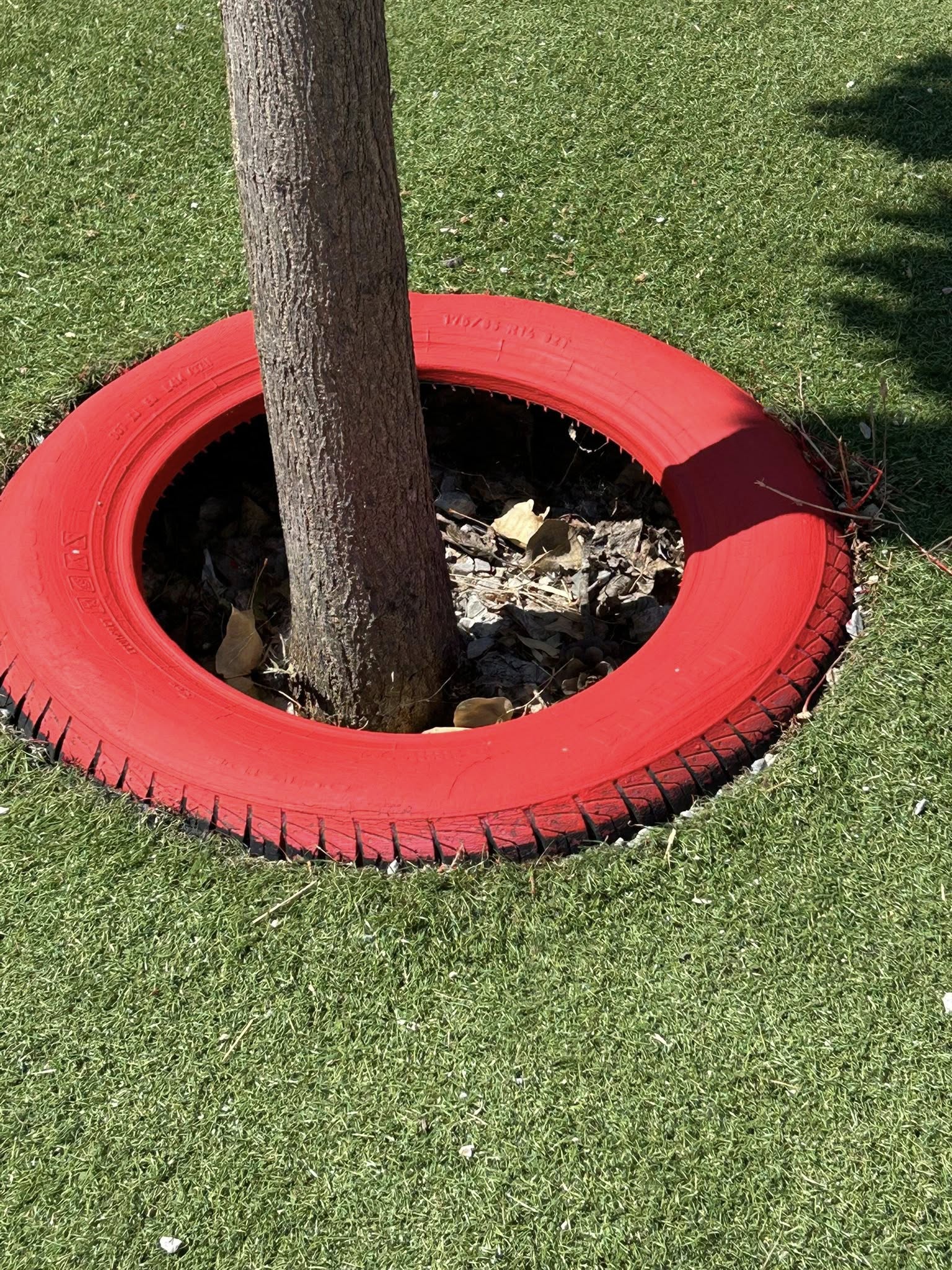 527429788_1420543285865247_1273445929741947950_n.jpg