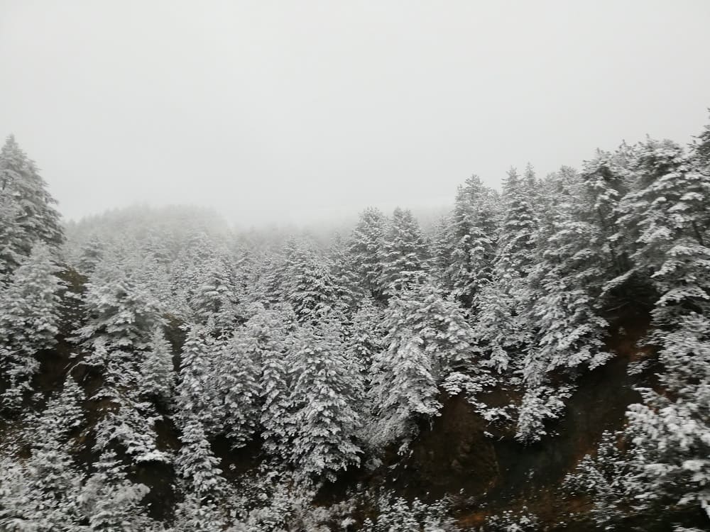 EKDROMI STIN IPEIRO 3011-2122018 (17).jpg