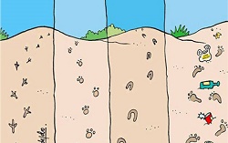 animals th
