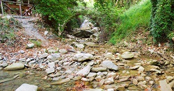 melas250.jpg