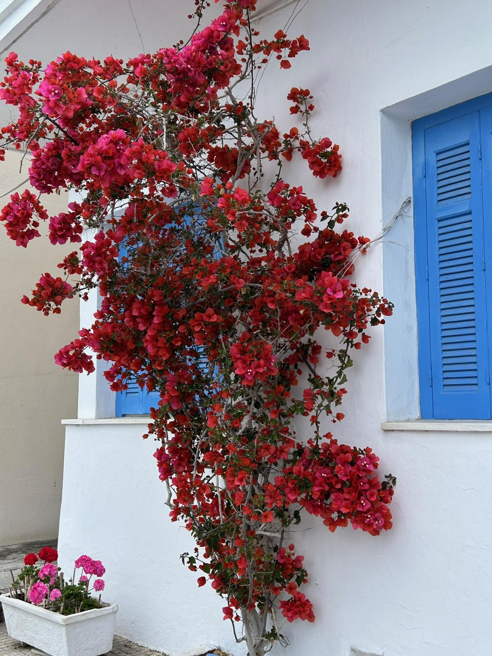 προσκυνηματική_εκδρομή_στη_Βόρεια_Εύβοια25_23.jpg